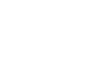 Logo-templateN-ing